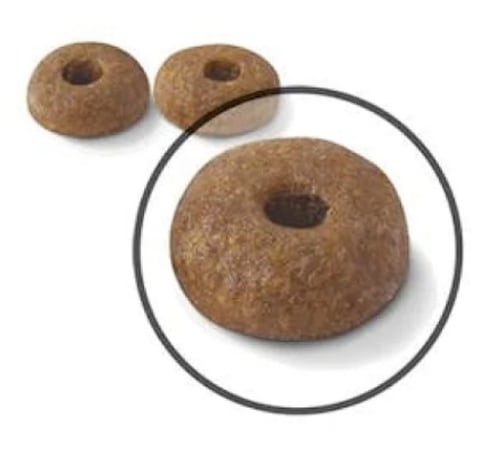 رويال كانين "دايجستيف" طعام جاف للقطط البالغة "للع...