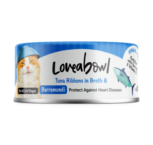 لاف أباول شرايح التونا في المرق مع سمك البرمون Lov...