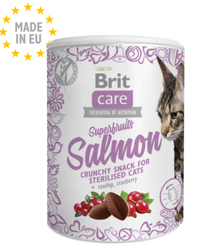 Brit Care Superfruits Salmon - Crunchy Snack for S...