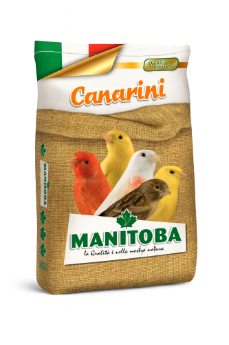Manitoba Canary Mix No Vitamins خليط مانيتوبا للكن...