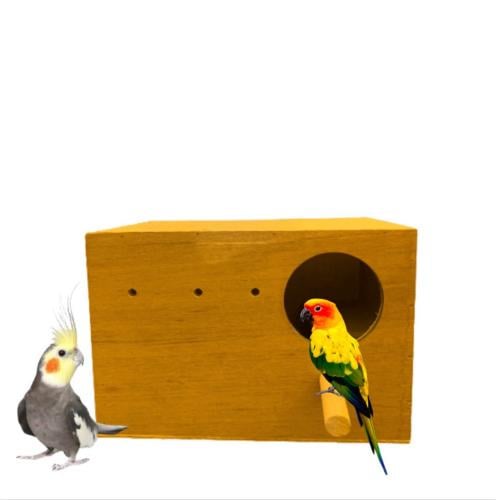 حضانة طيور خشبية بياضة صن كنيور ، الكنيور ، الكروا...