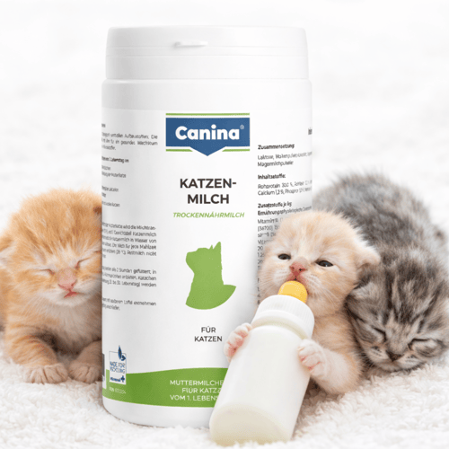 حليب القطط البديل من كانينا Canina Kitten Milk