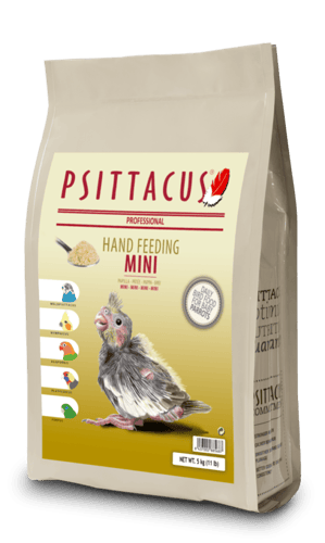 سيريلاك ميني سيتاكوس PSITTACUS MINI HAND FEEDING