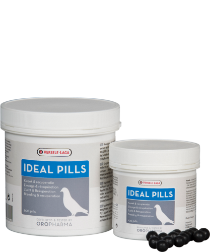 ايدال حبوب مثالية فيرسل لاقا Versele-laga IDEAL PI...