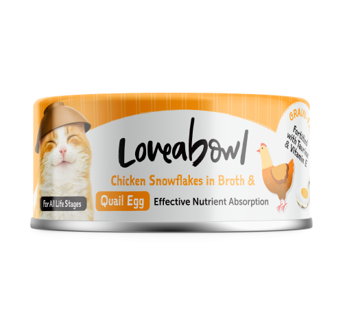 لاف أباول شرايح الدجاج في المرق مع بيض السمان Love...