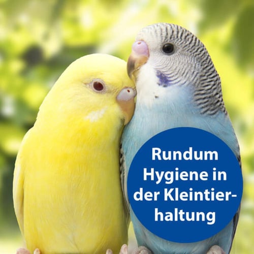 بكتازول بخاخ تنظيف ومعقم شامل لبيئة الحيوانات الأل...