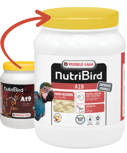 سيريلاك A19 لجميع الطيور فيرسل لاقا Versele-laga A...