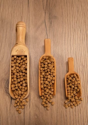 غذاء ببغاوات متوسطه فيشر روز كروان كنيور ميني سيتا...