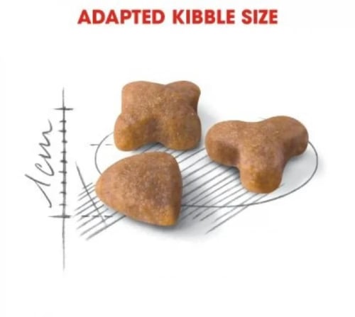 رويال كانين "سنسبل 33" طعام جاف للقطط البالغة الحس...