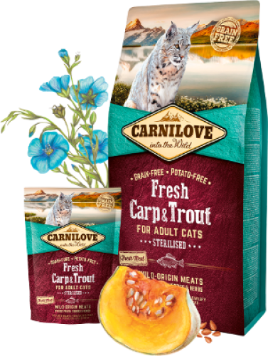 كارنيلوف وجبة غذائية للقطط سمك الشبوط والسالمون ال...