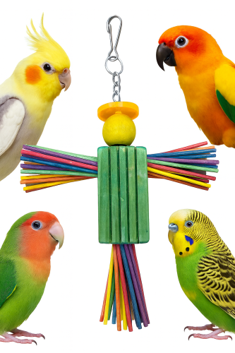 لعبة طيور خشبية ملونة للتسلية والمرح داخل القفص لل...