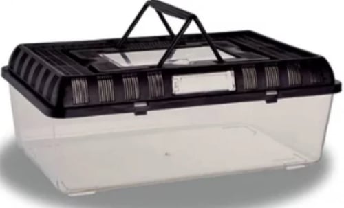 حضانة بلاستك - صندوق شفاف لتربية الطيور والزواحف و...