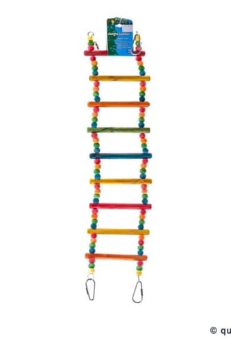 سلم لعبه طيور