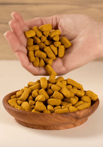 غذاء ببغاوات كبيره كاسكو امزوني مكاو اوميقا سيتاكو...