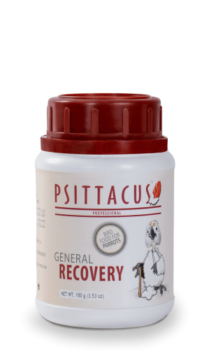 سيريلاك الاستشفاء سيتاكوس PSITTACUS General recove...