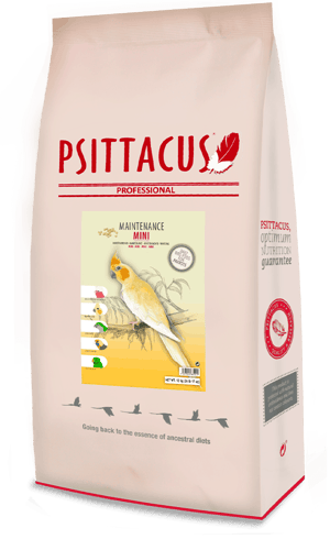 غذاء ببغاوات متوسطه فيشر روز كروان كنيور ميني سيتا...