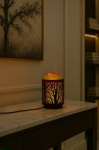 الغابة السوداء