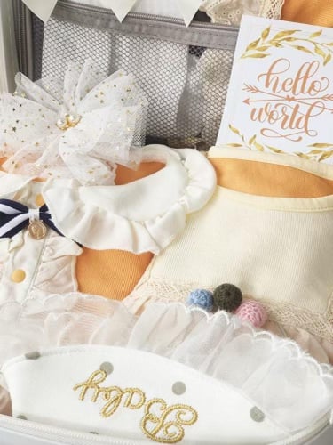 شنطة ملابس المواليد ليدي