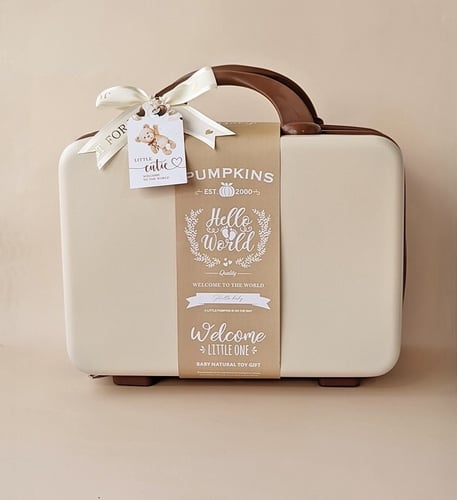 شنطة ملابس المواليد براون