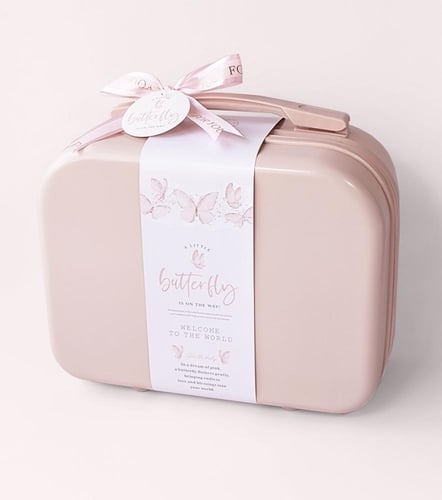 شنطة ملابس المواليد الاميــرات