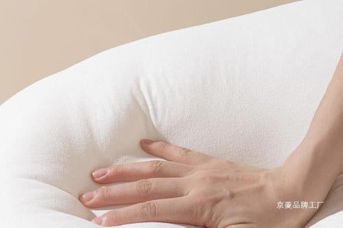 وسادة الوزة الآمنة