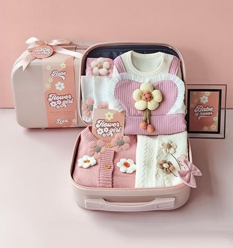 شنطة ملابس المواليد الفراشــات