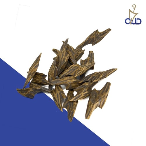 عود تايجر كمبودي الرسمي