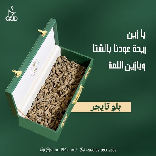 عود بلو تايقر الفتنامي