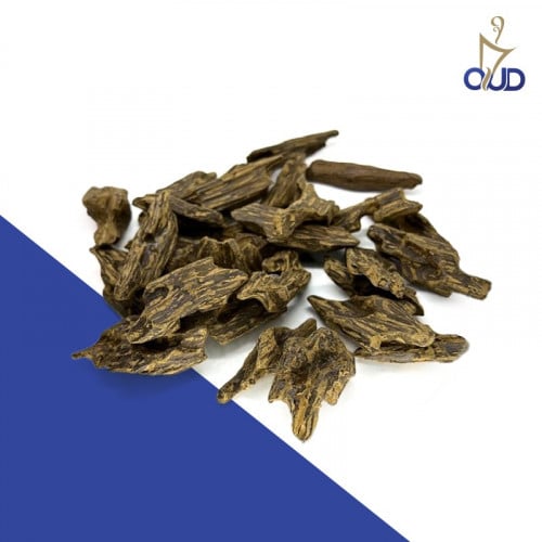 عود المجالس