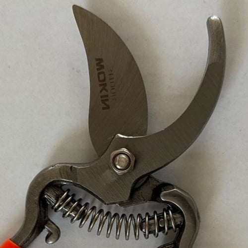 مقص تقليم الأغصان