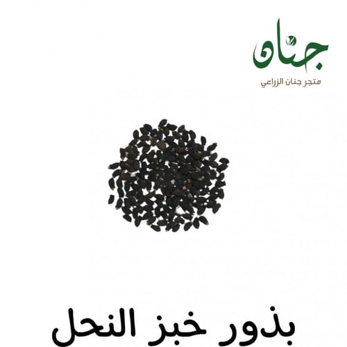 بذور خبز‬ ‫النحل - الحمحم ‫( Borage officinalis )