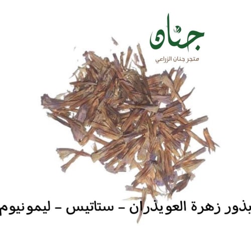 بذور العويذران - ستاتيس - ليمونيوم ( Limonium sinu...