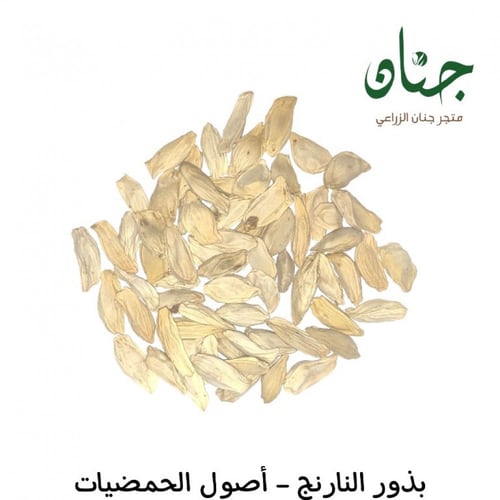 بذور النارنج - أصول الحمضيات ( CITRUS AURANTIUM )