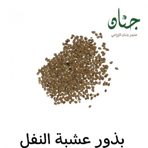 بذور النفل ( Trifolium )