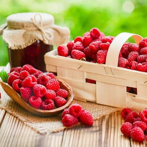 بذور شجيرة توت العليق الأحمر ( Rubus idaeus )