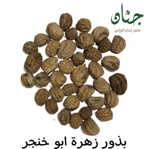 بذور زهرة السالبوت - أبو خنجر ( tropaeolum majus )