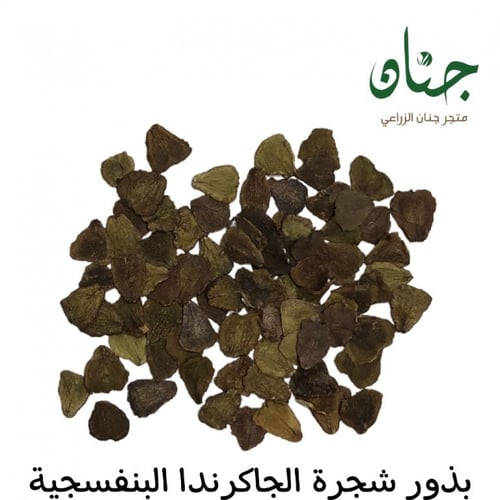 بذور شجرة الجاكرندا البنفسجية ( Jacaranda mimosifo...