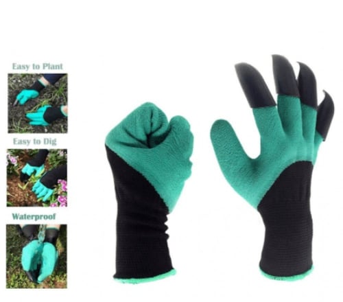 قفاز بستنة مع مخالب