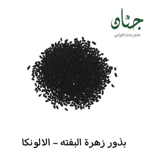 بذور زهور البفتة الوردية - البلدي ( Catharanthus r...