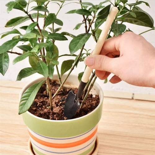 أدوات صغيرة للبستنة