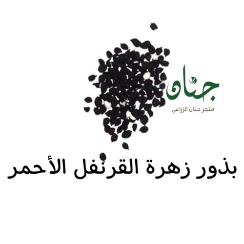 ‫بذور زهرة القرنفل الأحمر‬ ( Dianthus caryophyllus...