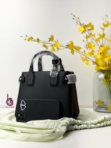 شنطة نسائيه من بربري