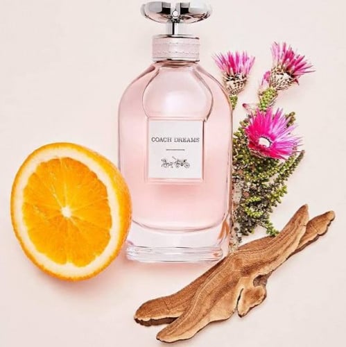 كوتش دريم 90ملل - أطلبه الأن !