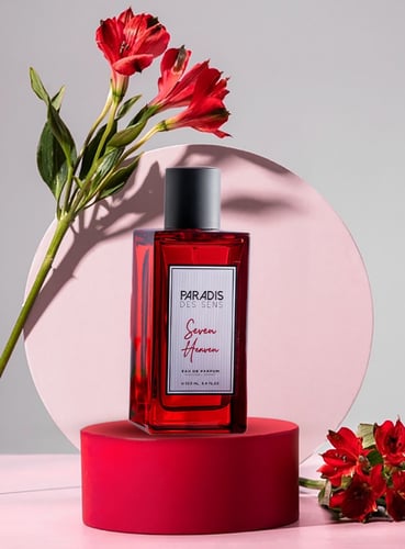 سيڤن هيڤين ذا رد لاين باراديس دي سينس(Seven Heaven...