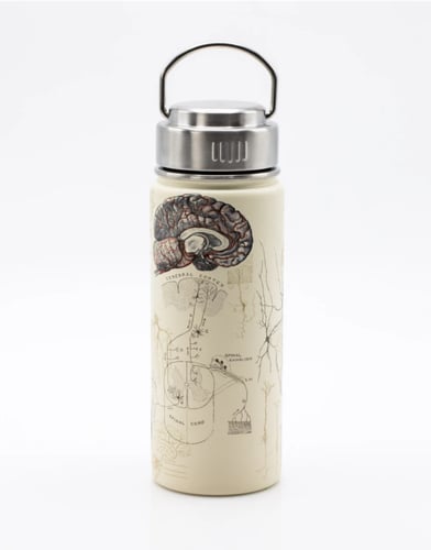 Neuroscience STEEL BOTTLE 500 ML