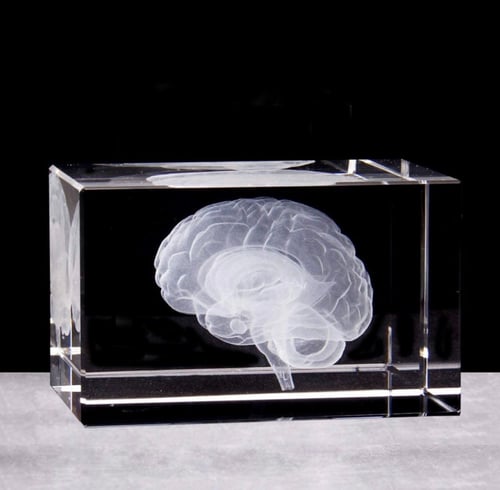 3D Brain Crystal Model