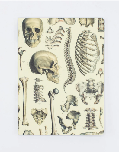 Skeleton Notebook