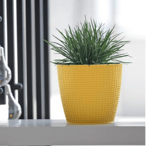 وعاء نباتي ويتي مستدير