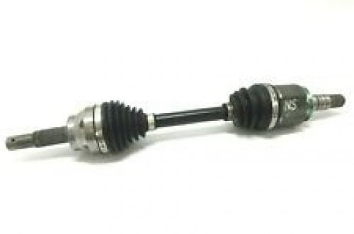 عكس امامي صني هندي عادي