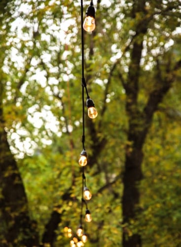 عقد إنارة الحدائق : الطول 18 متر + 30 مصباح . (إنا...